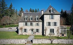 Le Chateau De Saint-Angel, Le Manoir Du Rigouneix, 5 Minutes A89, Nature, Calme, Sauna, Climatisation